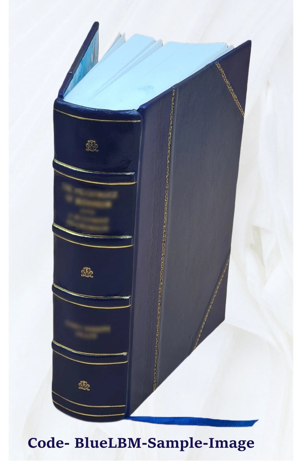 Volume 1891 Bound] Opera omnia [Leather 18
