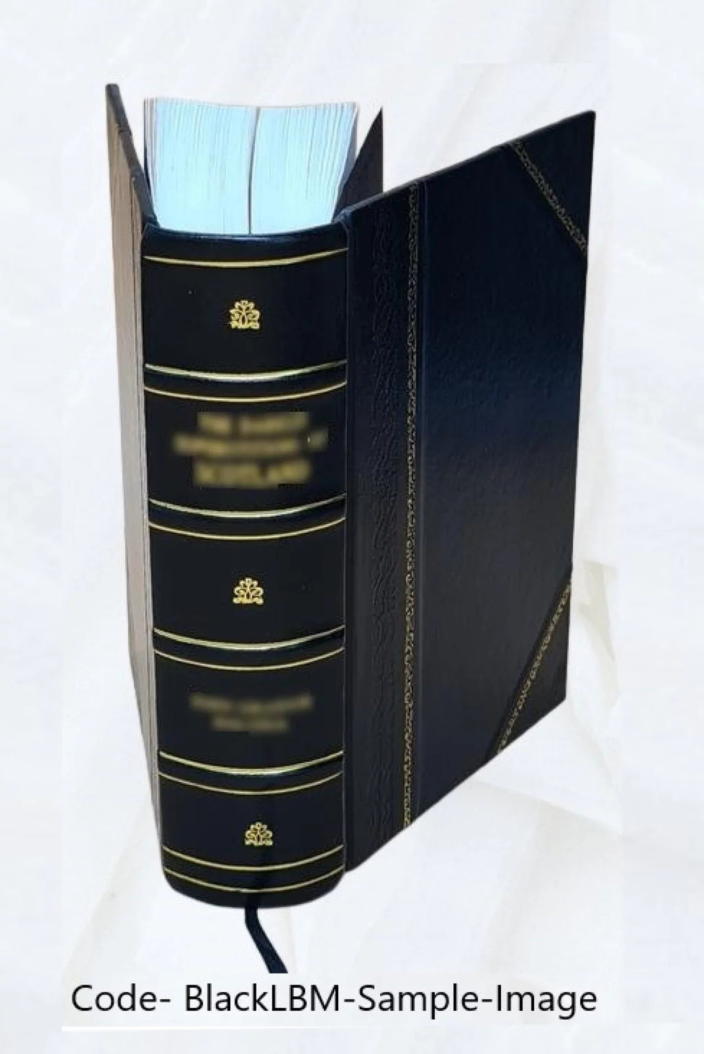Volume 1891 Bound] Opera omnia [Leather 18
