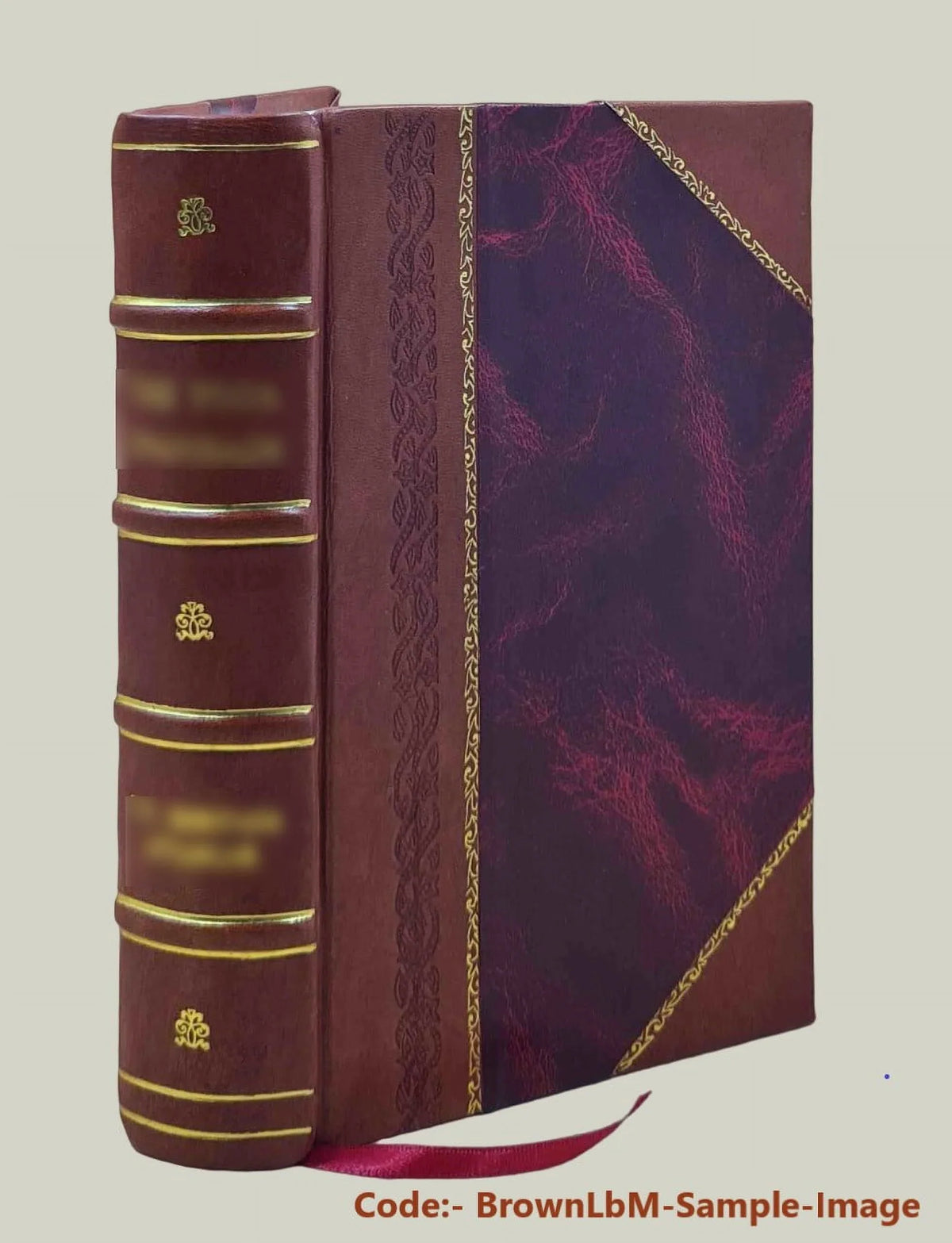 : [Leather the 20, rush April 2, papers other Mining captain, Washington California Bound] 18 Goldsborough drawings, journals, Association, 1849-July and of Gold City and Bruff, J.