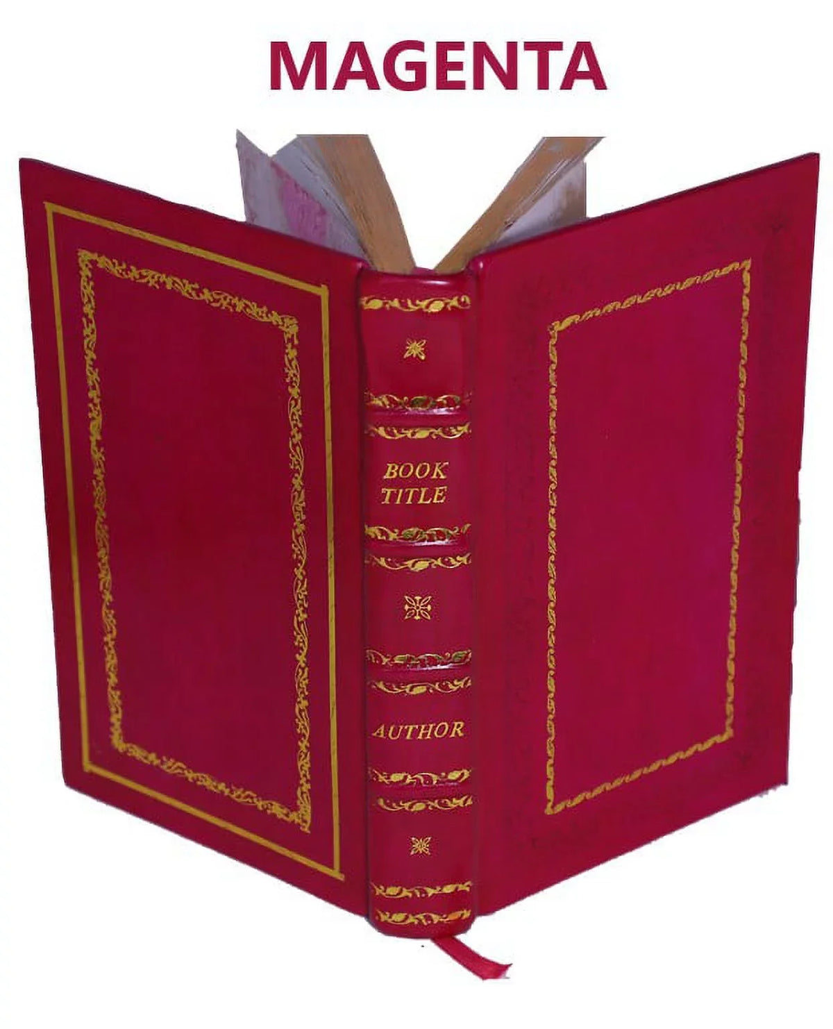 and surgeon soldier scalpel : autobiography 1914 of Bound] sabre [Premium a Leather the With and