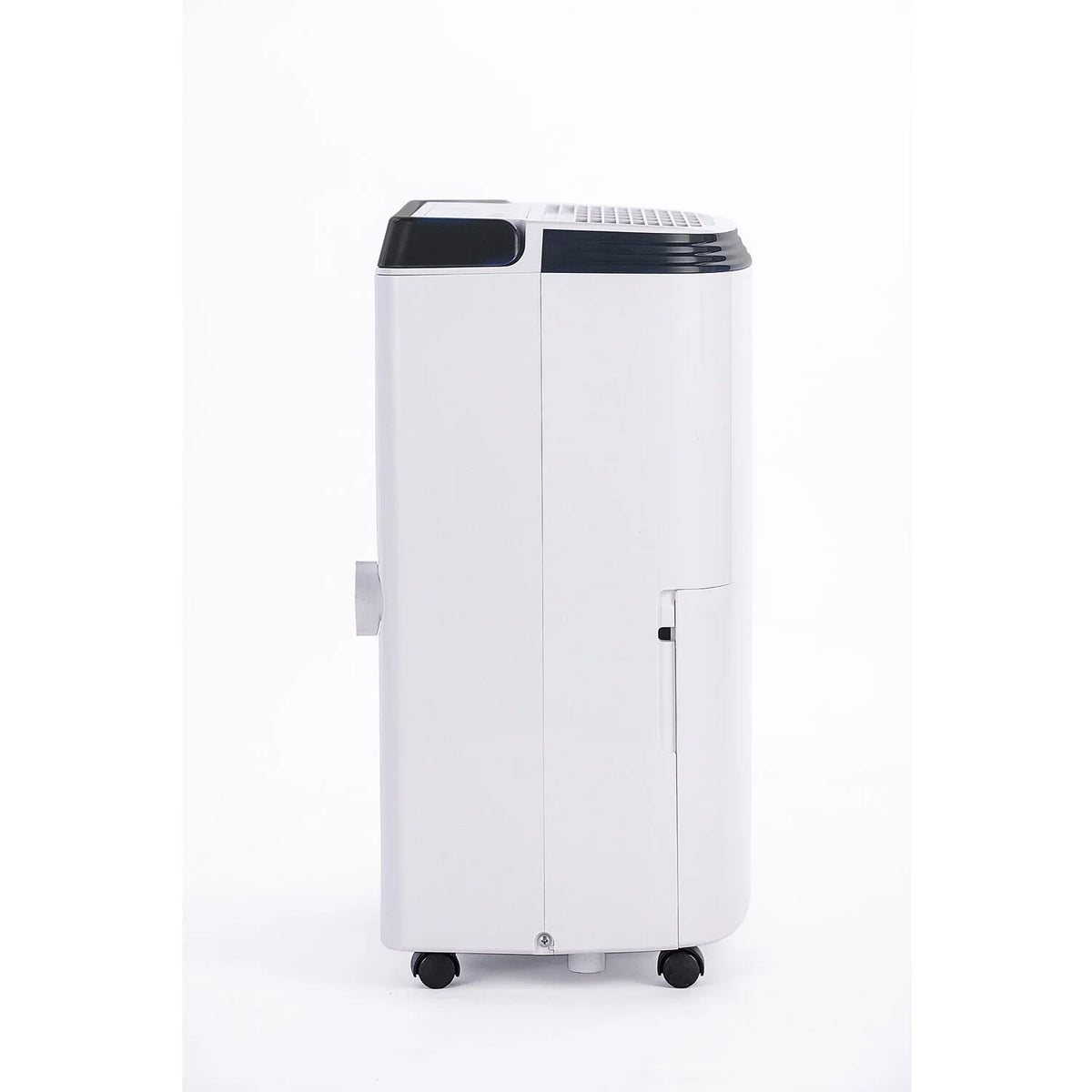Filter Energy Star Honeywell with Washable 30-Pint Dehumidifier