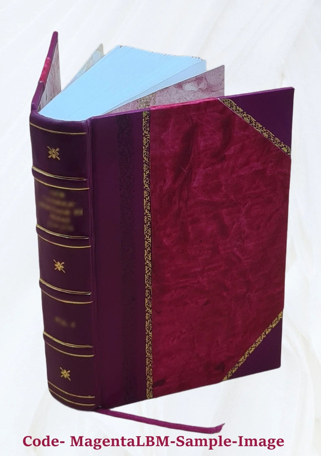 C. omnia Burnouf curante quae 1827 indicibus I.L. [Leather Crispi Sallustii cum Bound] Opera exstant