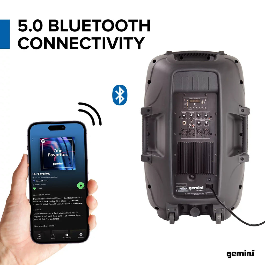 Speaker Package PA Dual Complete Gemini PA-SYS15