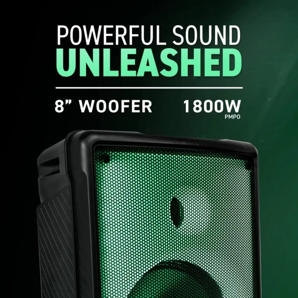 Karaoke Wirlss with Speaker Microphne 8" Portable