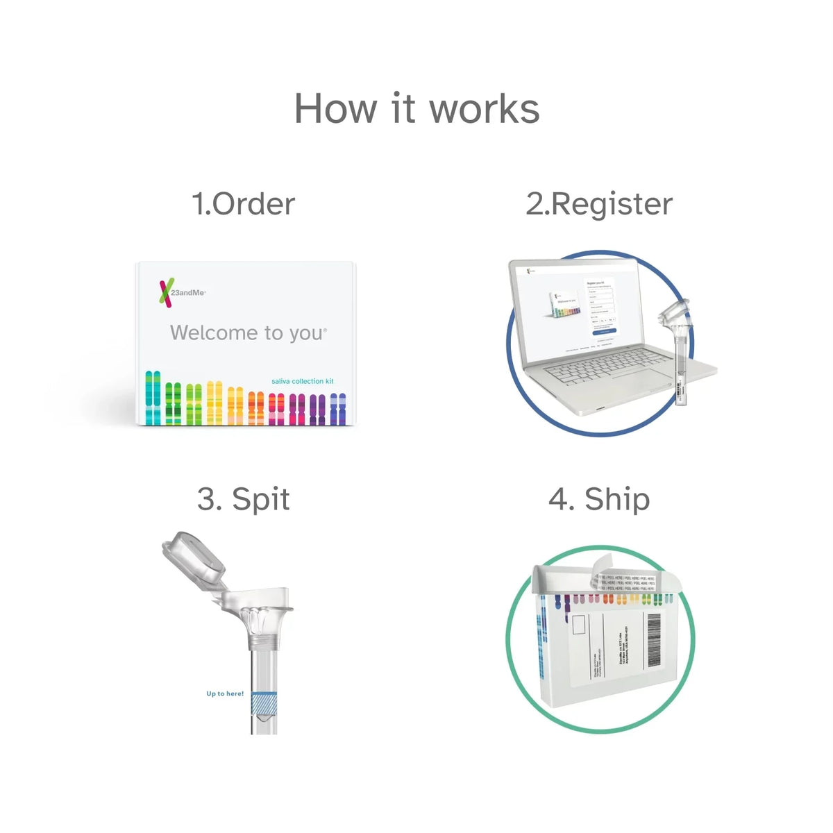 '+ Test Test DNA You See (before Service Important – 23andMe Health Ancestry Buy below) Info