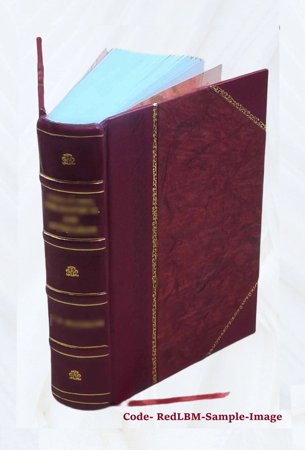 Volume 1891 Bound] Opera omnia [Leather 18
