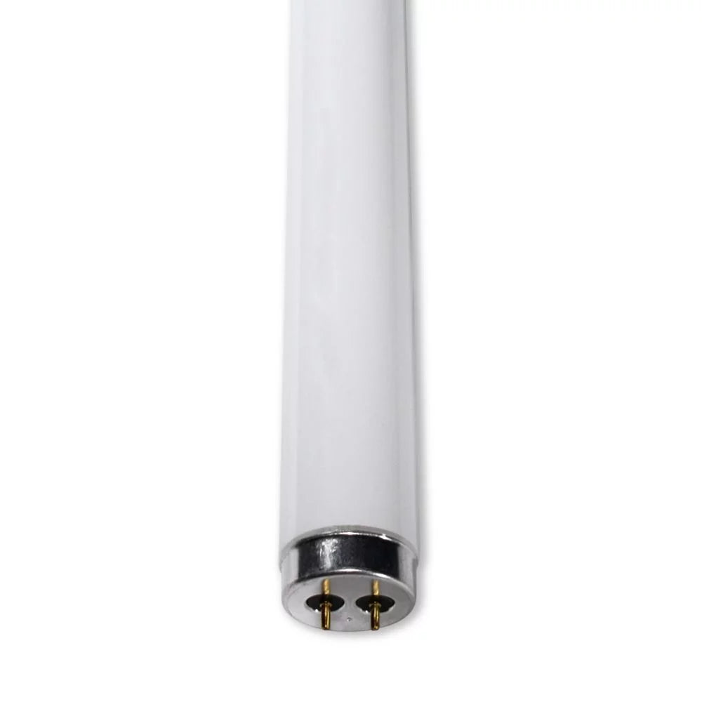 Philips Bulb Light Replacement 30 for Pieces Lamp F34CW/RS/EW/ALTO Replacement