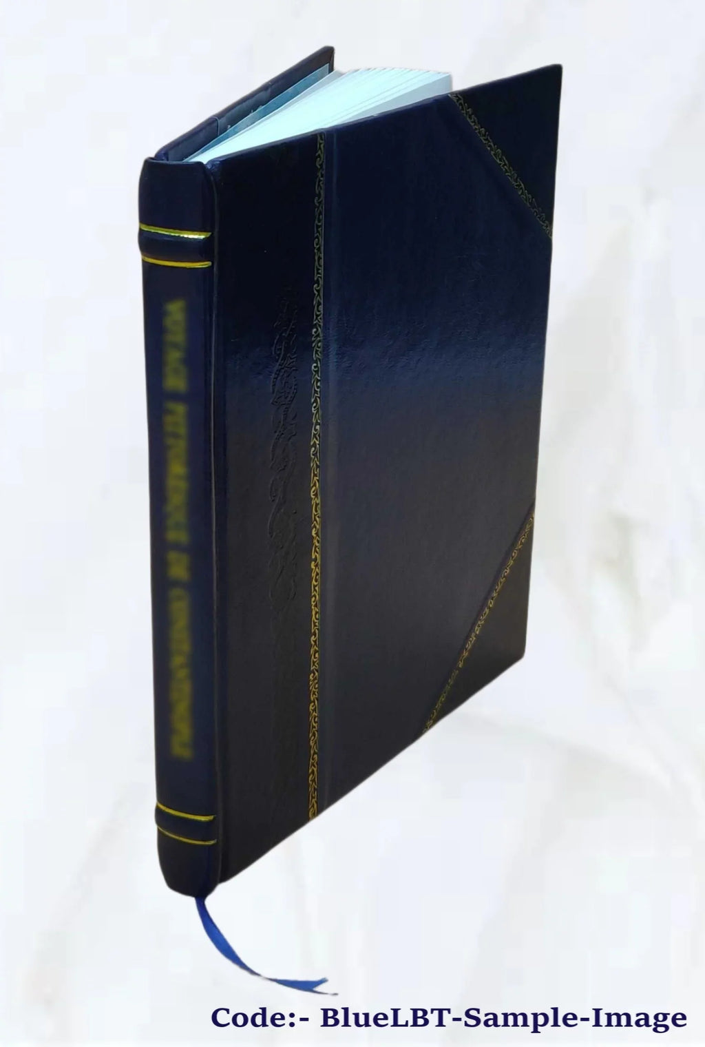 Russian [Leather Bound] 6-8 Course - Text Student FSI lesson FAST