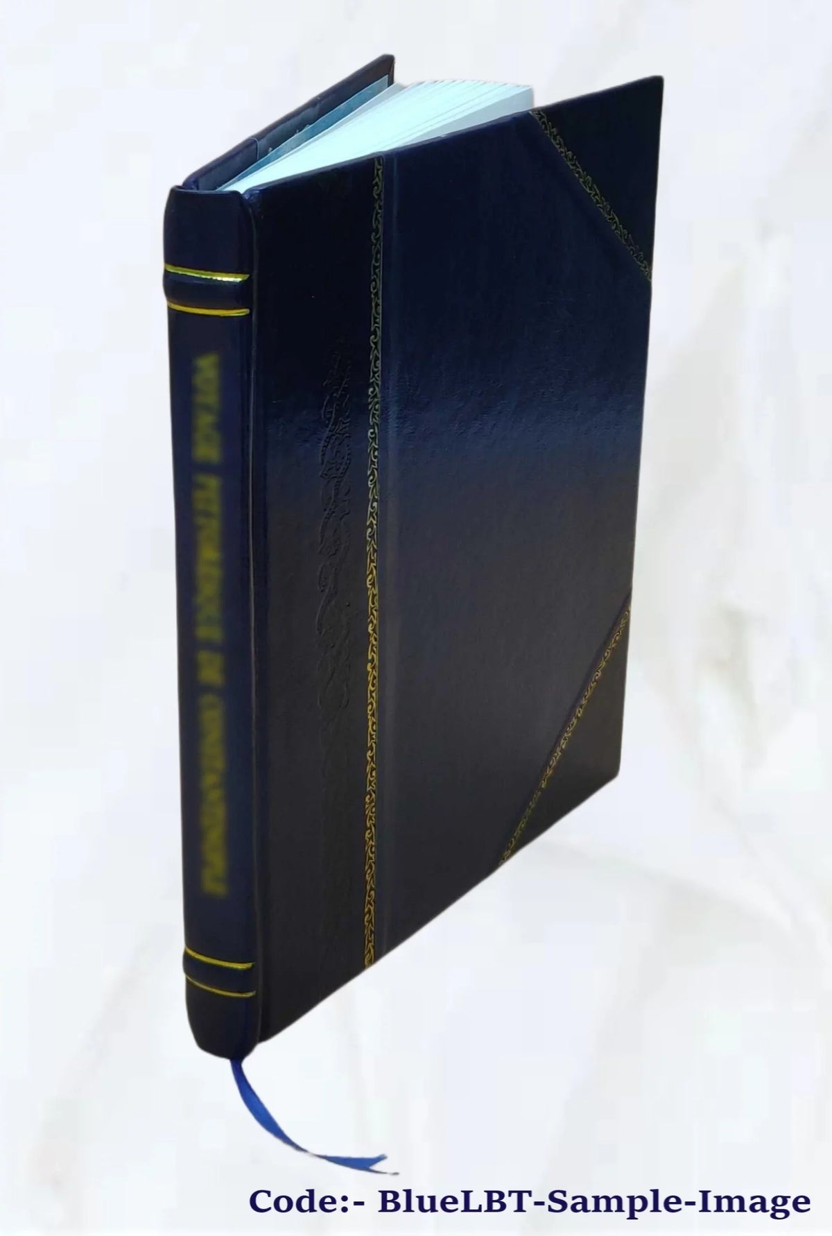 Russian [Leather Bound] 6-8 Course - Text Student FSI lesson FAST