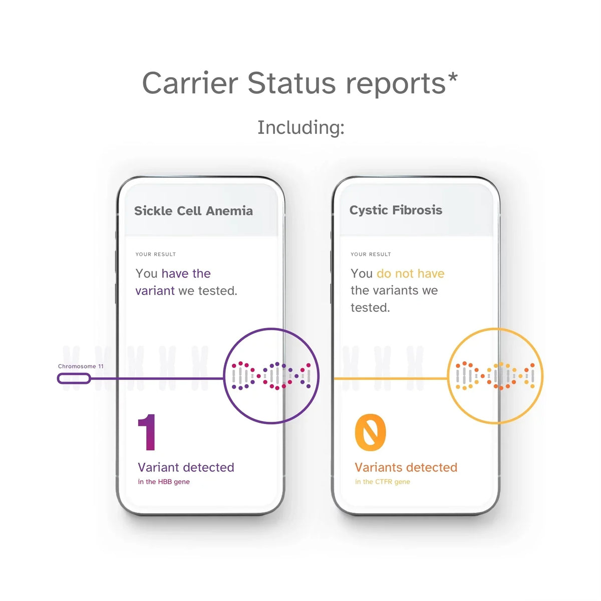 '+ Test Test DNA You See (before Service Important – 23andMe Health Ancestry Buy below) Info